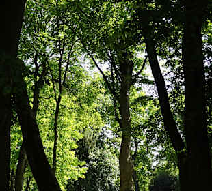 Spaziergang durch die Graftanlagen