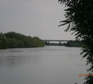 The bridge to Cebza