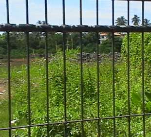 Stadtrundgang Bentota