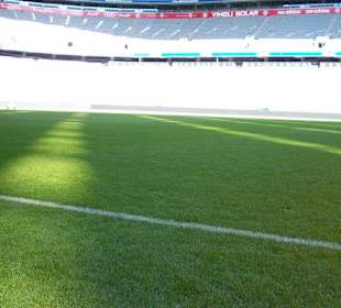 Blick aus dem Spielertunnel