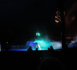 Landauer Weihnachtcircus 2016