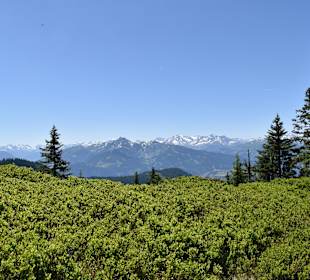 Wandern Mühlbach