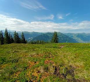 Ausblick