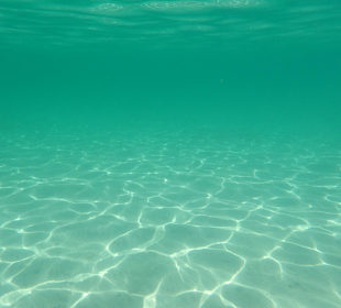 Schnorcheln Sahl Hasheesh