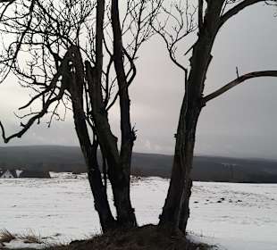 Wandern Deutschneudorf