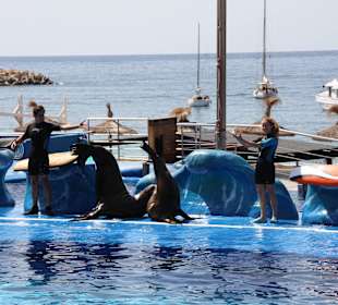 Marineland Mallorca