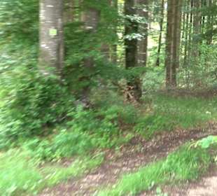 Premiumwanderweg "hochgehackert"