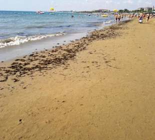 Am Strand entlang Kumköy-Evrenseki-Colakli