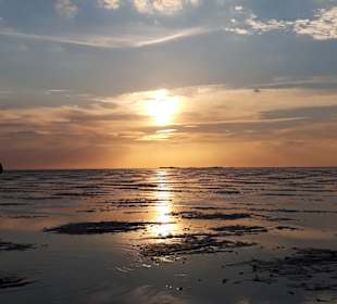 Wattenmeer
