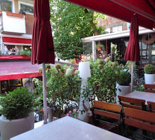 Das Katzen-Café im Schnoor