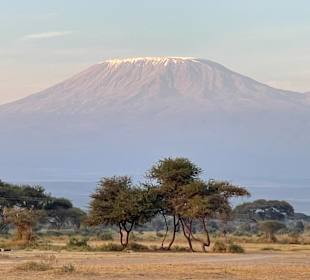 Amboseli-Nationalpark 