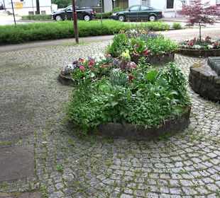 Dorfbrunnen Aach