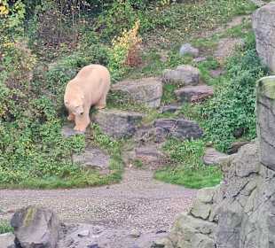 Zoo Hannover 