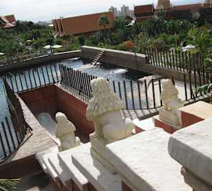 Mit der Riesenrutsche durchs Haifischbecken