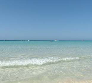 Es Trenc - Traumhaft 