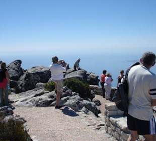 Wanderung auf denTafelberg