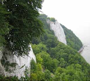 Kreidefelsen auf Rügen