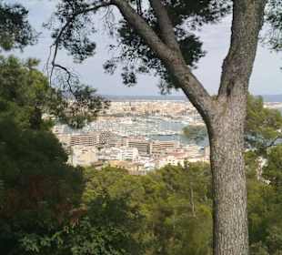 Palma, Castillo de Bellver