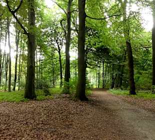 Impressionen aus Pellens Park