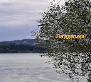 Forggensee