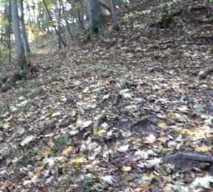 Geschichtslehrpfad Streichen