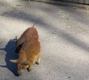 ImpressionOstern2013