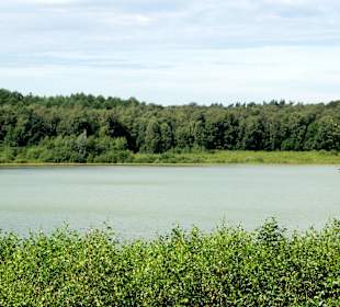 Auf dem Rundweg um den Dammer Bergsee
