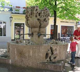 Brunnen auf dem Kohlenmarkt