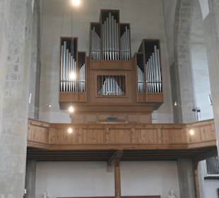 Die Kirche St. Petri von Magdeburg