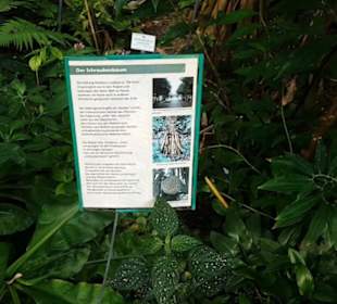 Botanischer Garten