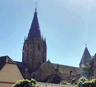 Pfarrkirche St. Peter und Paul