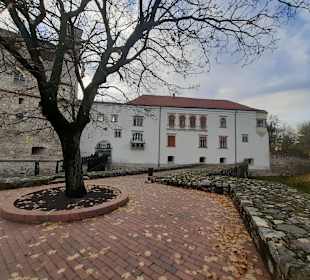Burg Rakoczi