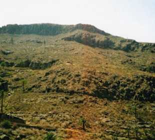 Aussicht Palmitos Park