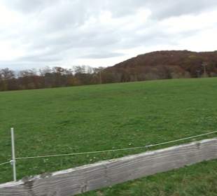 Freizeitheim Diepoldsburg