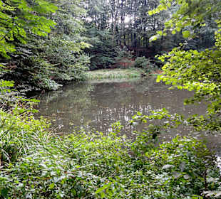 Teich am Kurweg