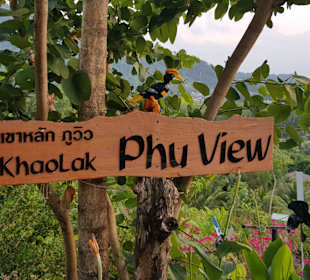Khao Lak Land Discovery