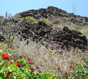 Schöne Landschaft im Palmitos Park