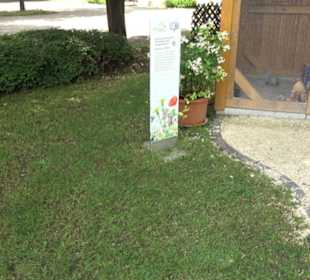 Historische Stadtmauer