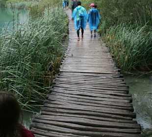 Holzpfad zwischen den Seen