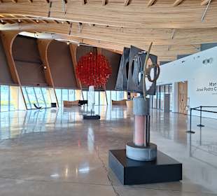 Ausstellung José Pedro Costigliolo