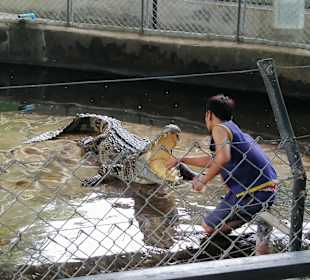 Samui Crocodile Farm