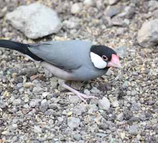 ZOOM Erlebniswelt Gelsenkirchen
