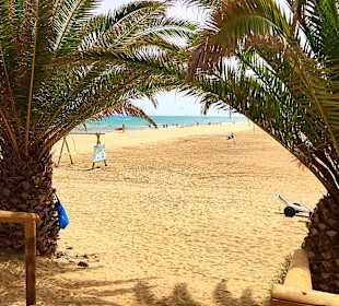 Kitesurfstation 15min Spaziergang rechts vom Hotel