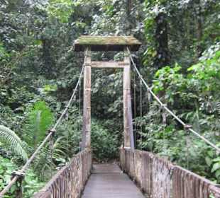 Über diese Bücke kann man gehen 