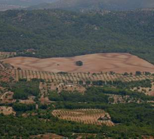 Ausblick vom Kloster