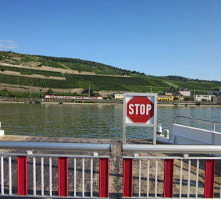 Fähre Rüdesheim