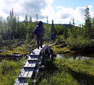 Wandern durch Wälder und Seeen