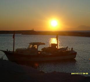 Ca. 17 Uhr 19.1.2012