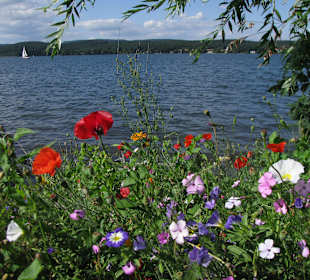 Untersee