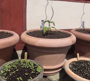 Fachwerkhaus Altenhoferstraße 3